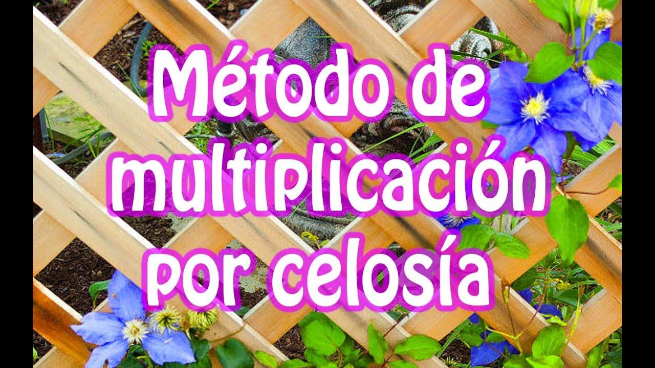 multiplicación por celosía en español