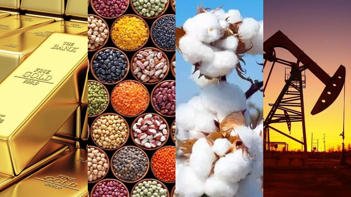 trading materias primas y divisas trading materias primas y divisas