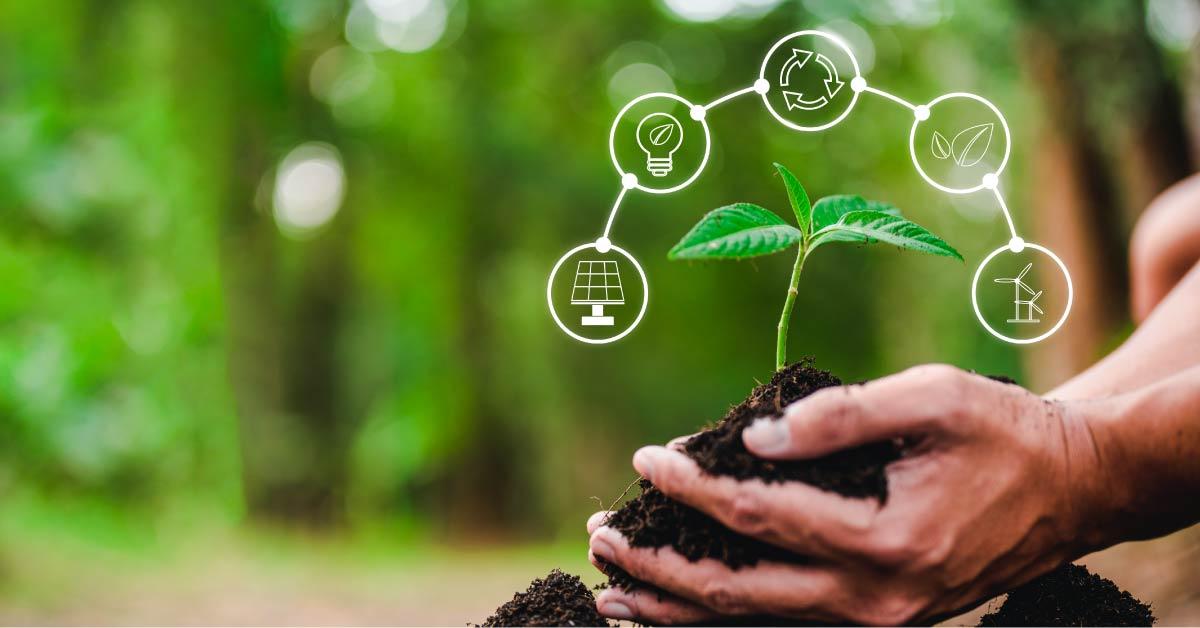 ramas de la ciencia ambiental ramas de la ciencia ambiental