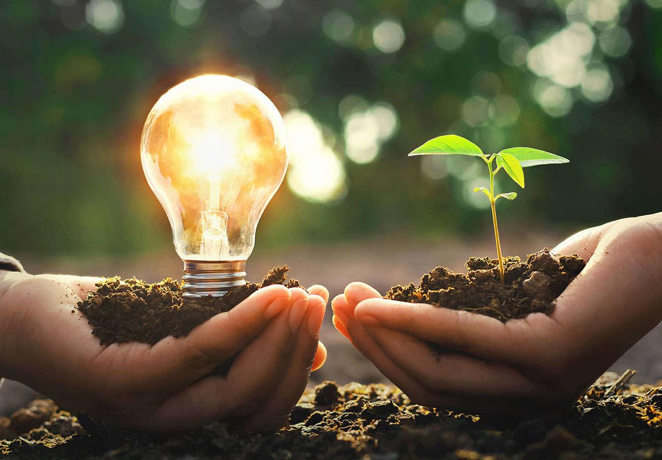 consumo sostenible consumo sostenible