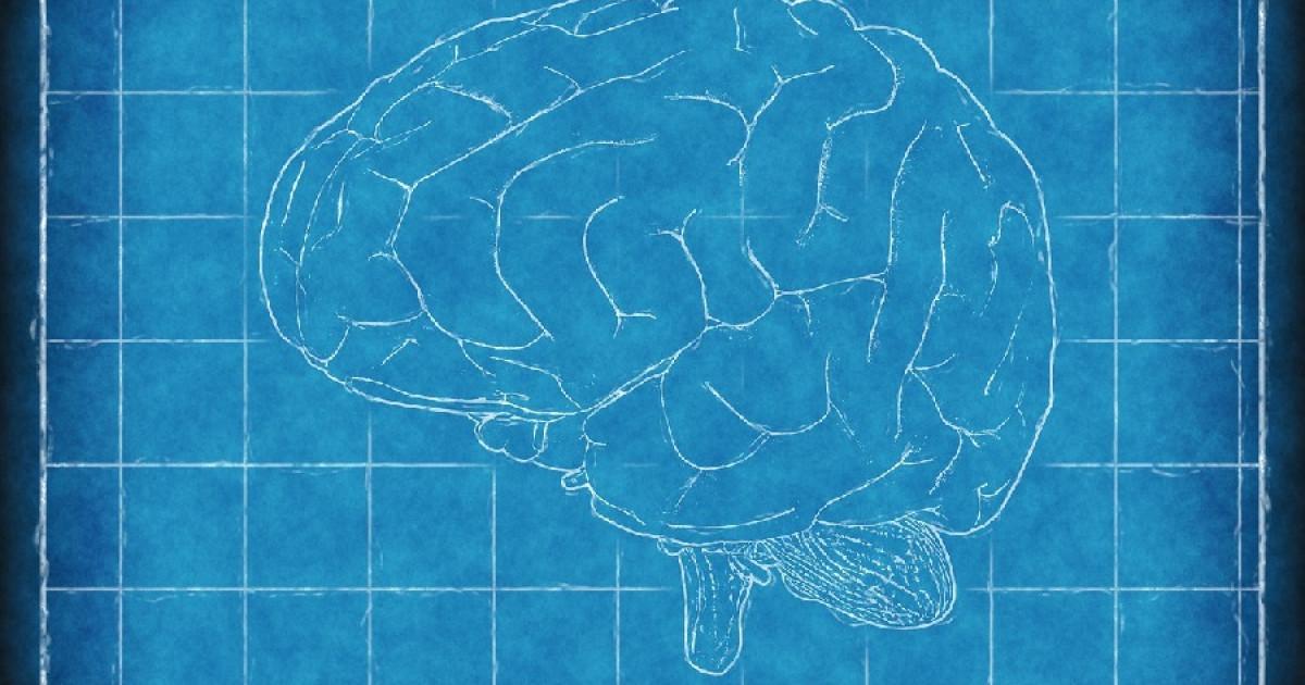 Curva del olvido en la enseñanza Curva del olvido en la enseñanza