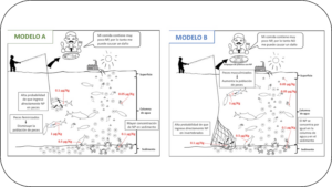 revista de experiencias didácticas en ciencias