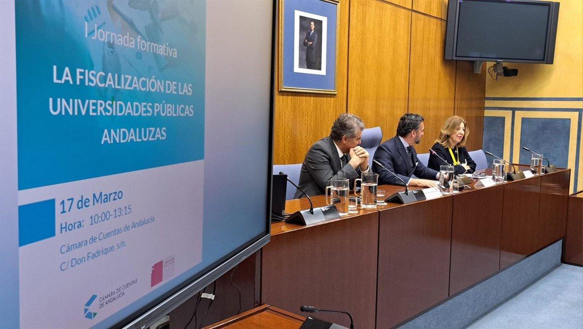 Camara de cuentas y consejos sociales universitarios Camara de cuentas y consejos sociales universitarios