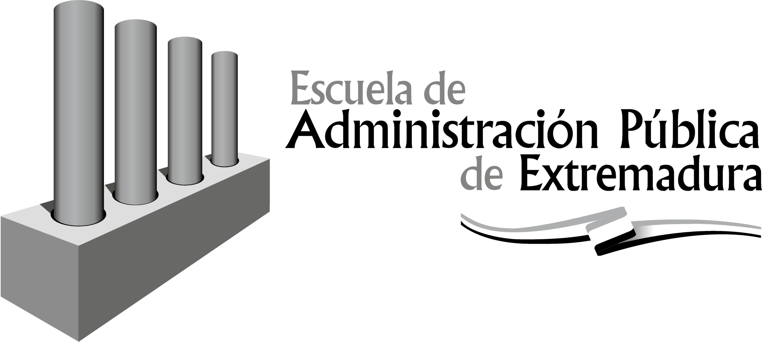 Formación en la Escuela de Administración Pública Formación en la Escuela de Administración Pública