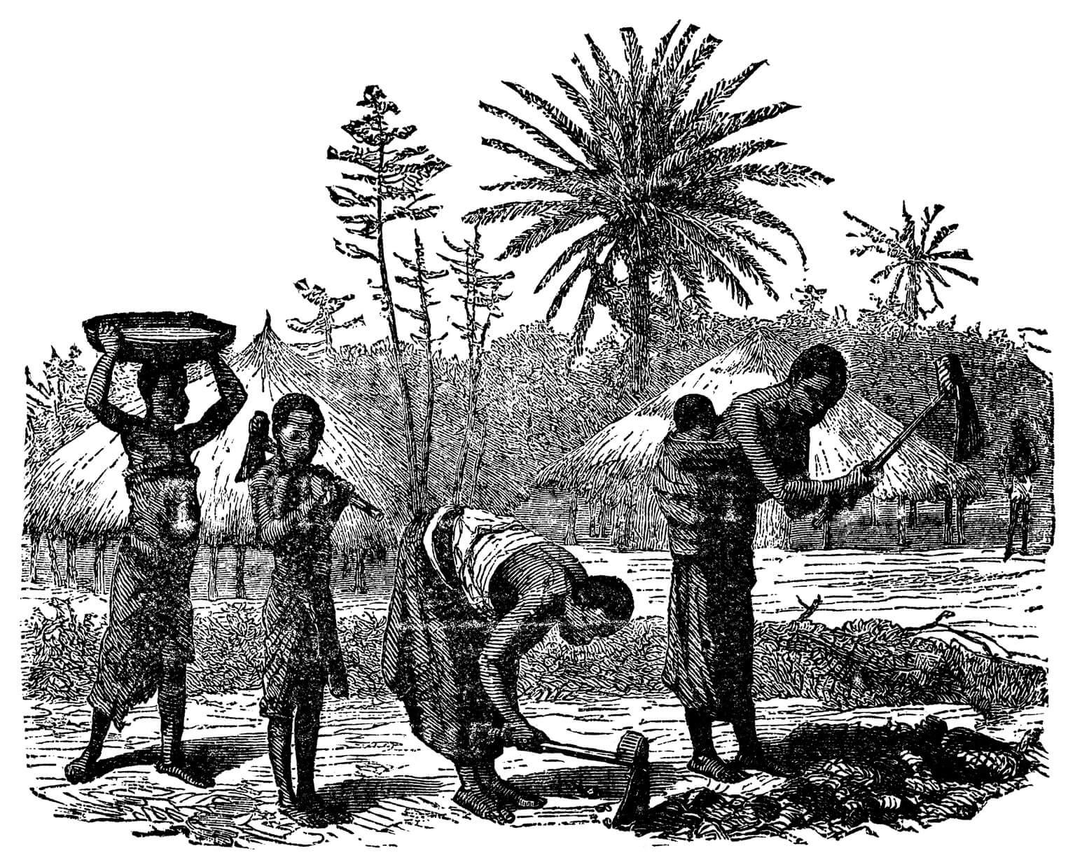 Antropología social y cultural Antropología social y cultural