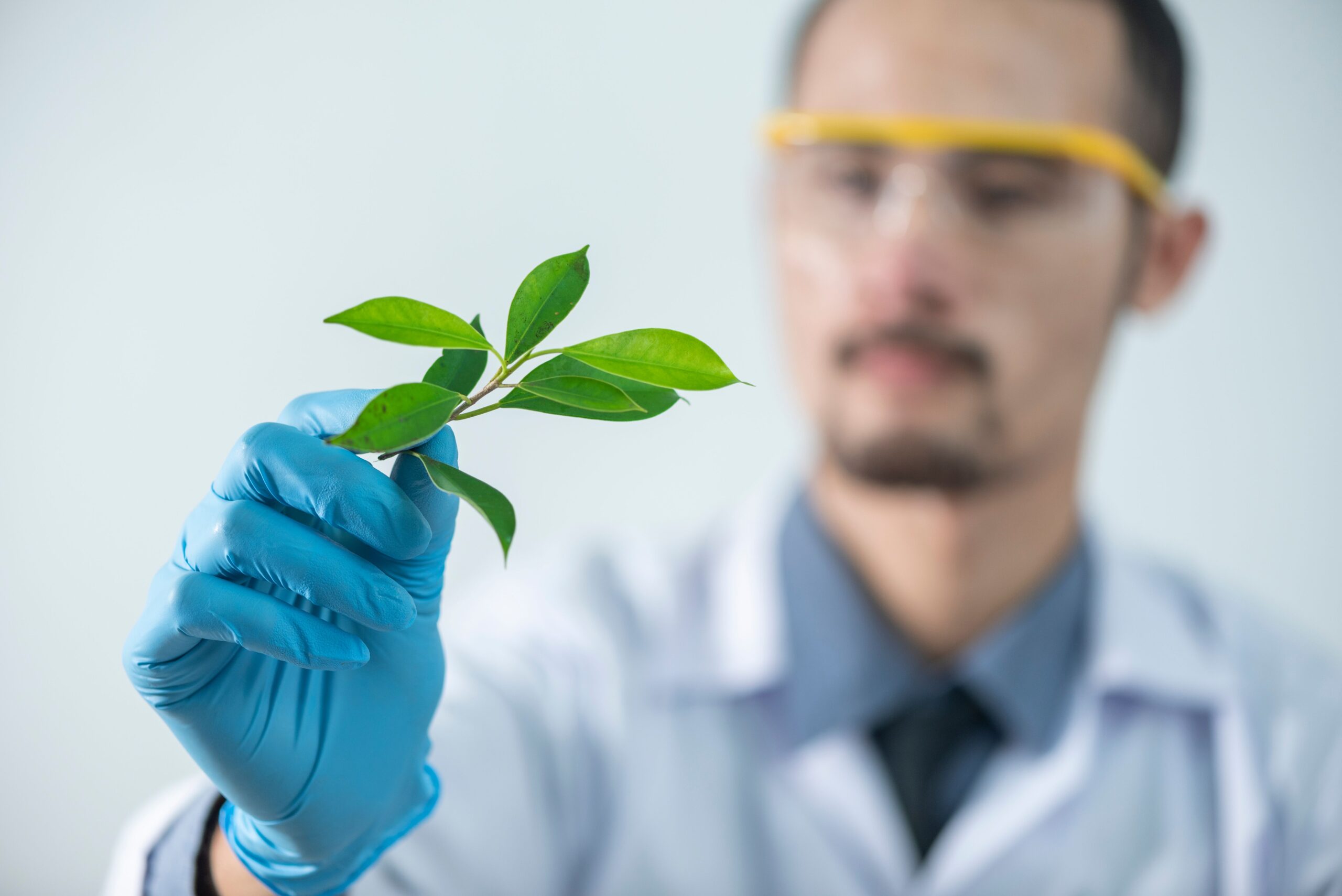 Máster en Biología Máster en Biología