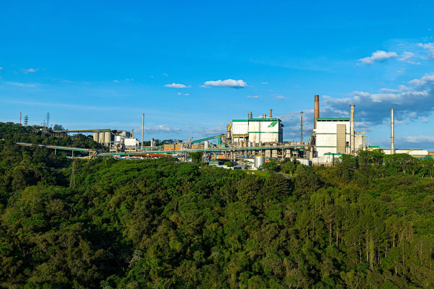 Planta industrial integrada en un entorno forestal, simbolizando la economía verde y la sostenibilidad empresarial. Planta industrial integrada en un entorno forestal, simbolizando la economía verde y la sostenibilidad empresarial.