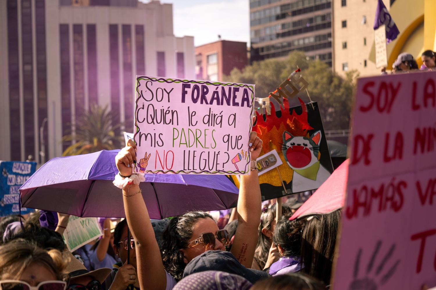 Feminist protest for equality and labor rights, reflecting the gender gap in employment. Feminist protest for equality and labor rights, reflecting the gender gap in employment.