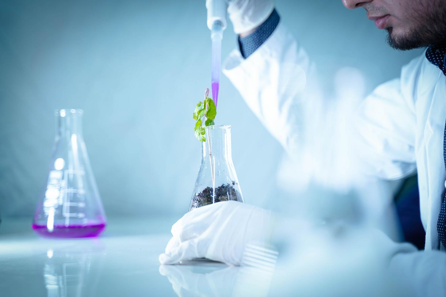 Científico analizando el efecto de sustancias químicas en una planta, representando la remediación ambiental y el control de contaminantes. Científico analizando el efecto de sustancias químicas en una planta, representando la remediación ambiental y el control de contaminantes.